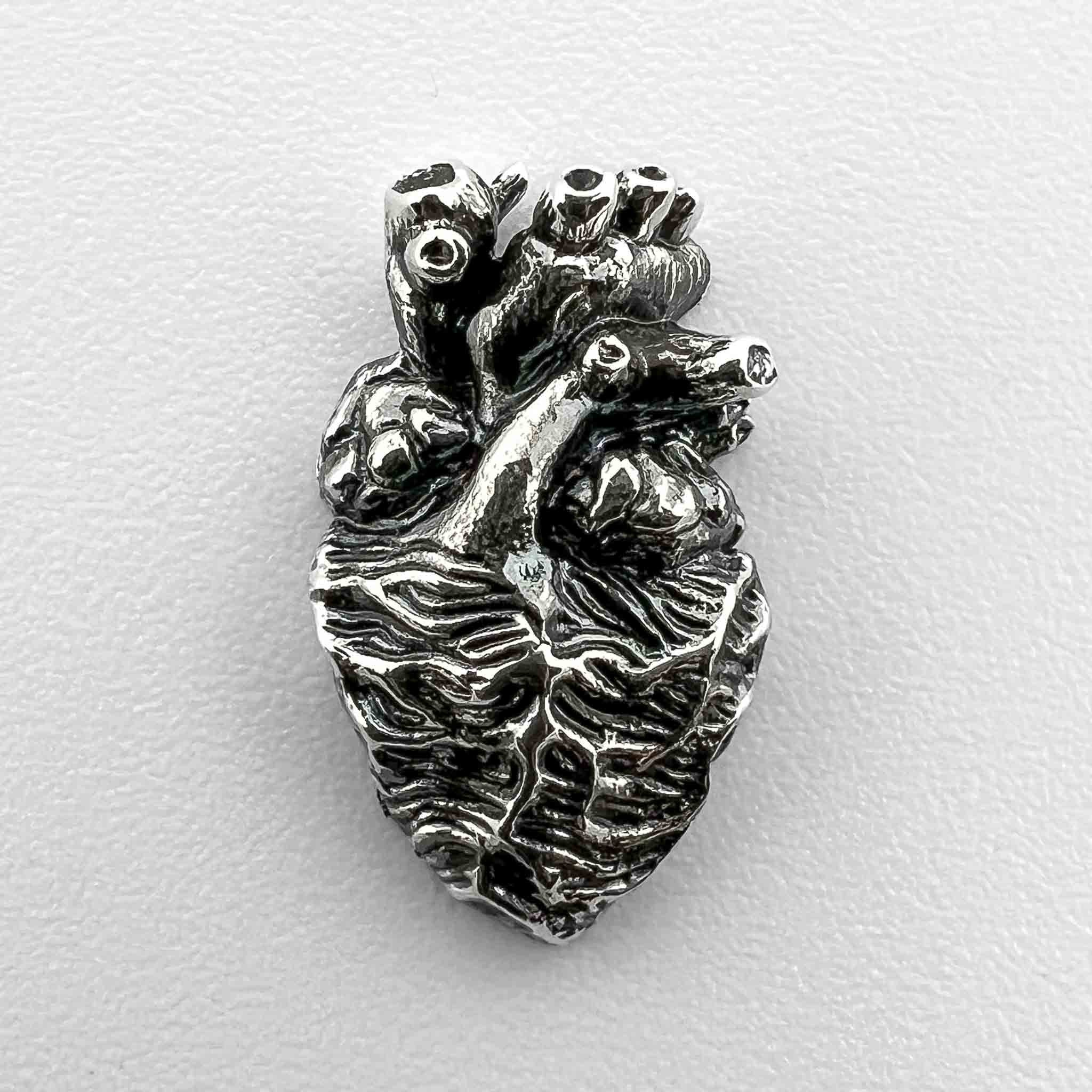 Anatomical Heart Jewelry