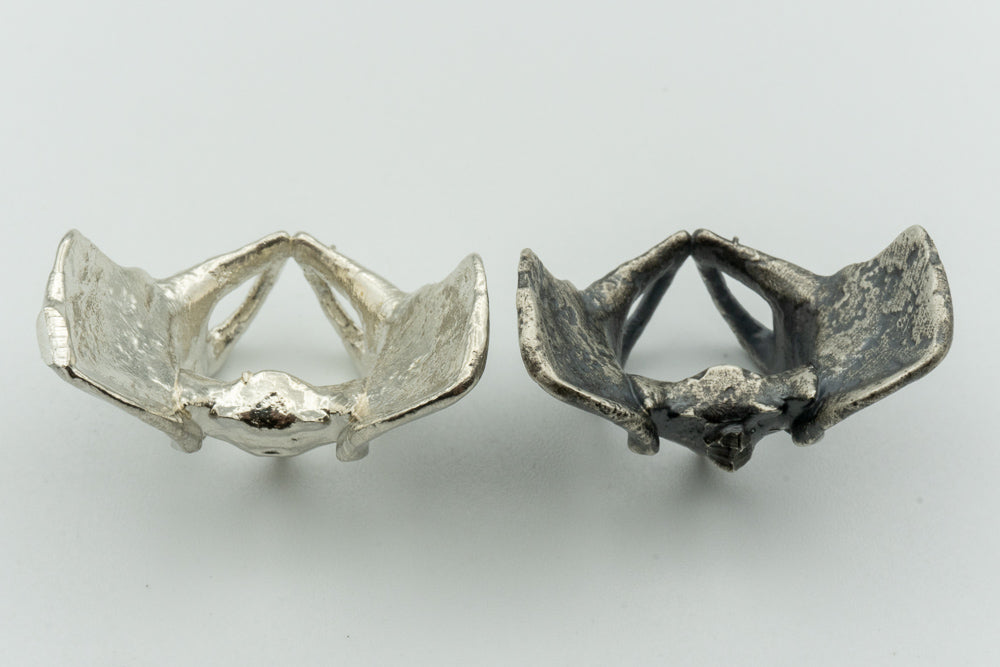 Pelvis
