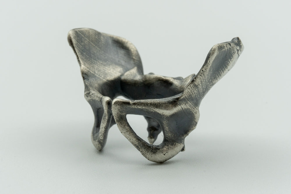 Pelvis