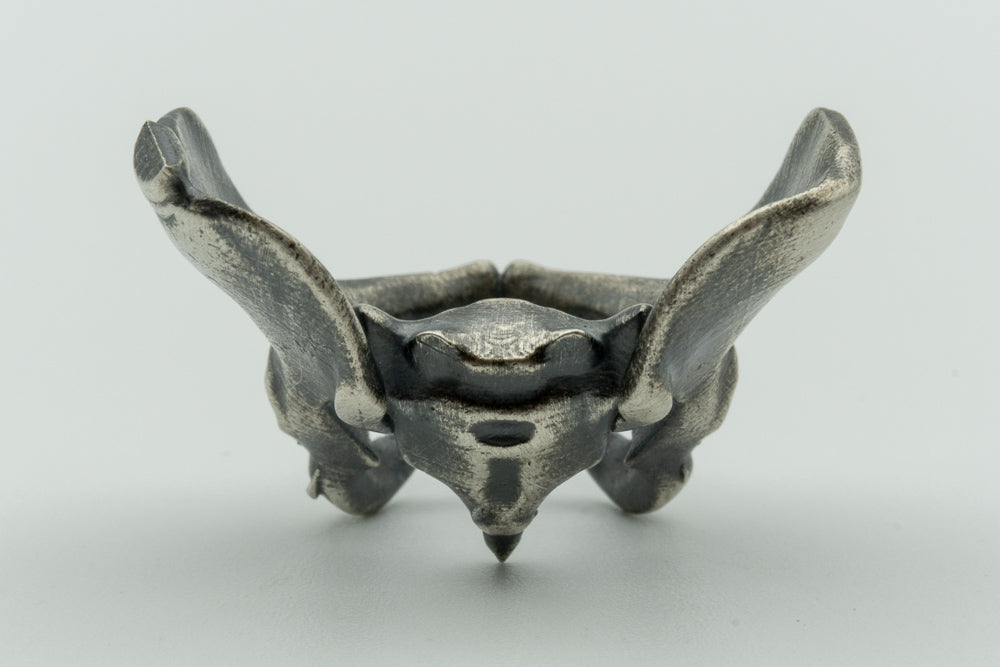 Pelvis
