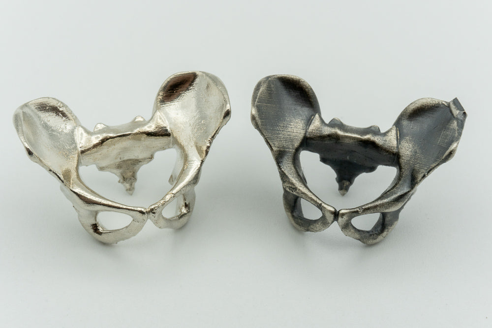 Pelvis