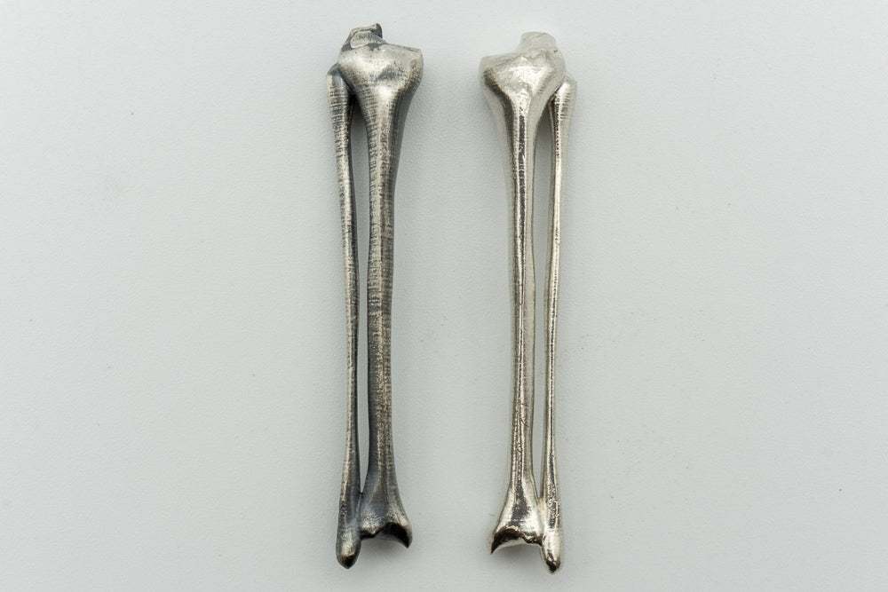 Tibia Fibula Pair