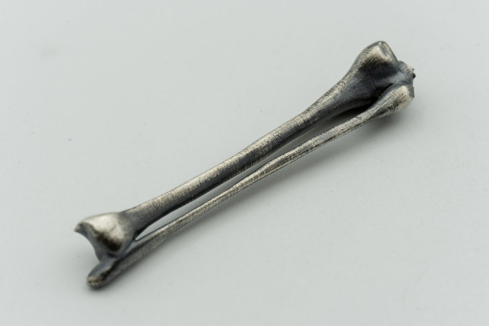 Tibia Fibula Pair