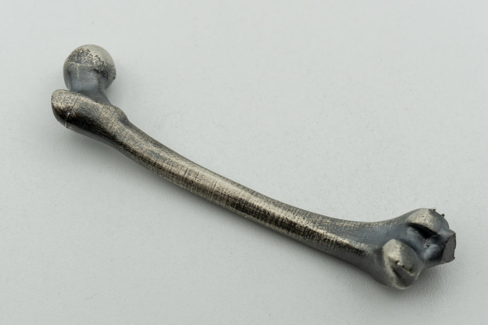 Femur Pair