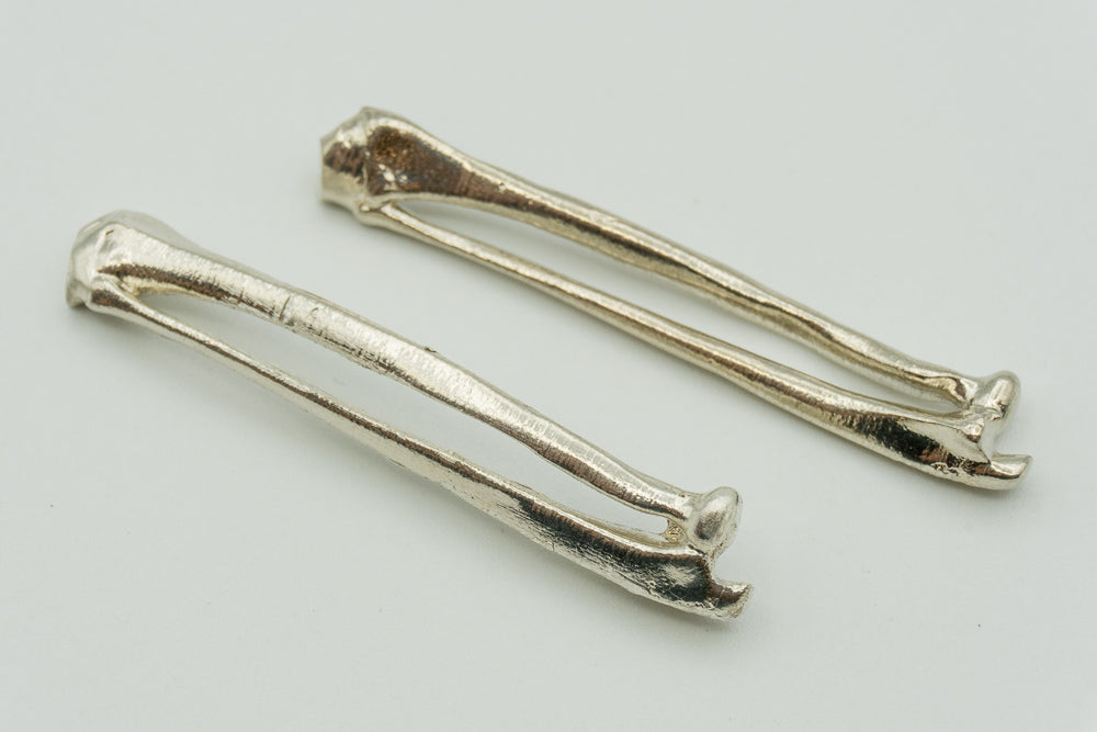 Radius Ulna Pair