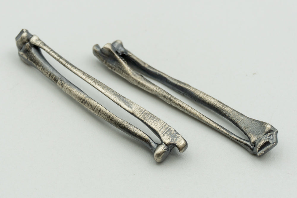 Radius Ulna Pair