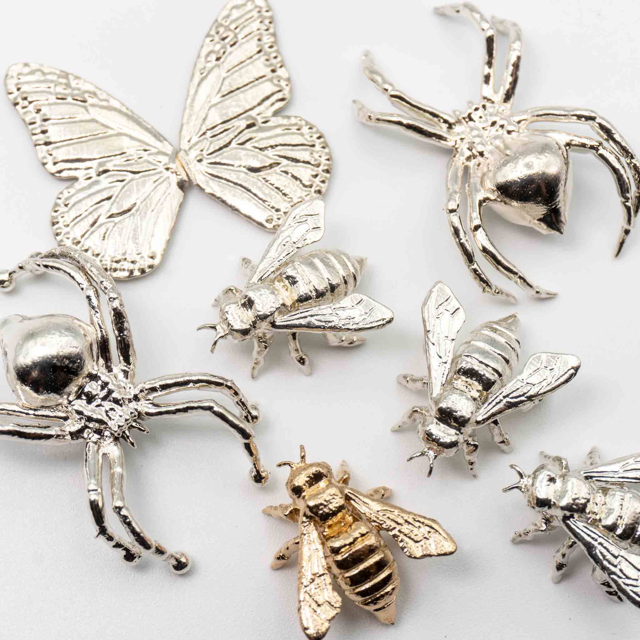 Insects