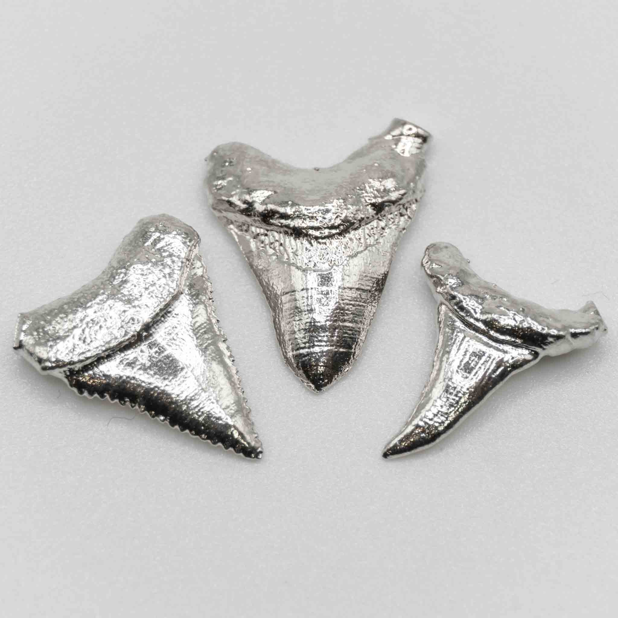 Silver Shark Teeth Jewelry Castings