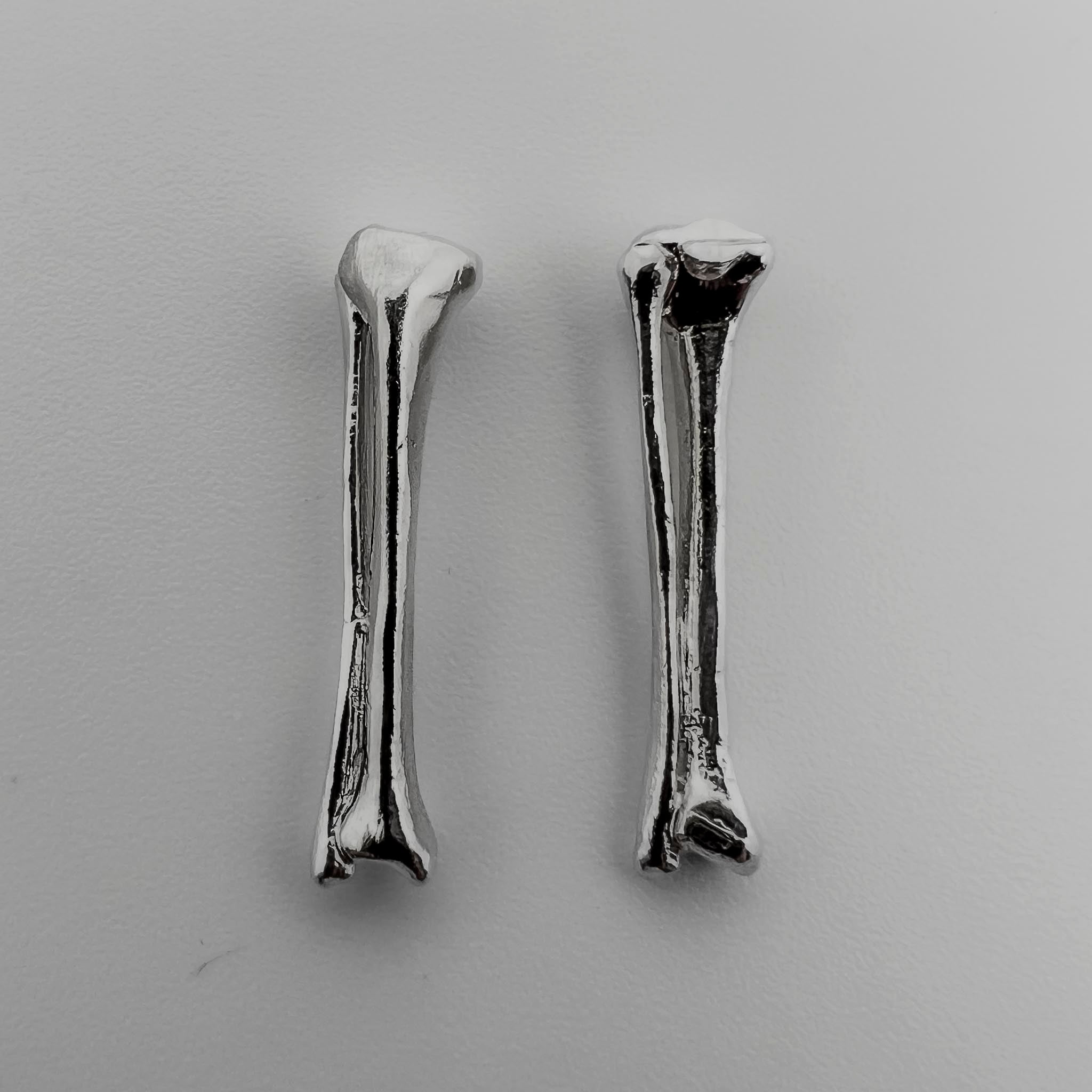 Tibia Fibula Bone Pair