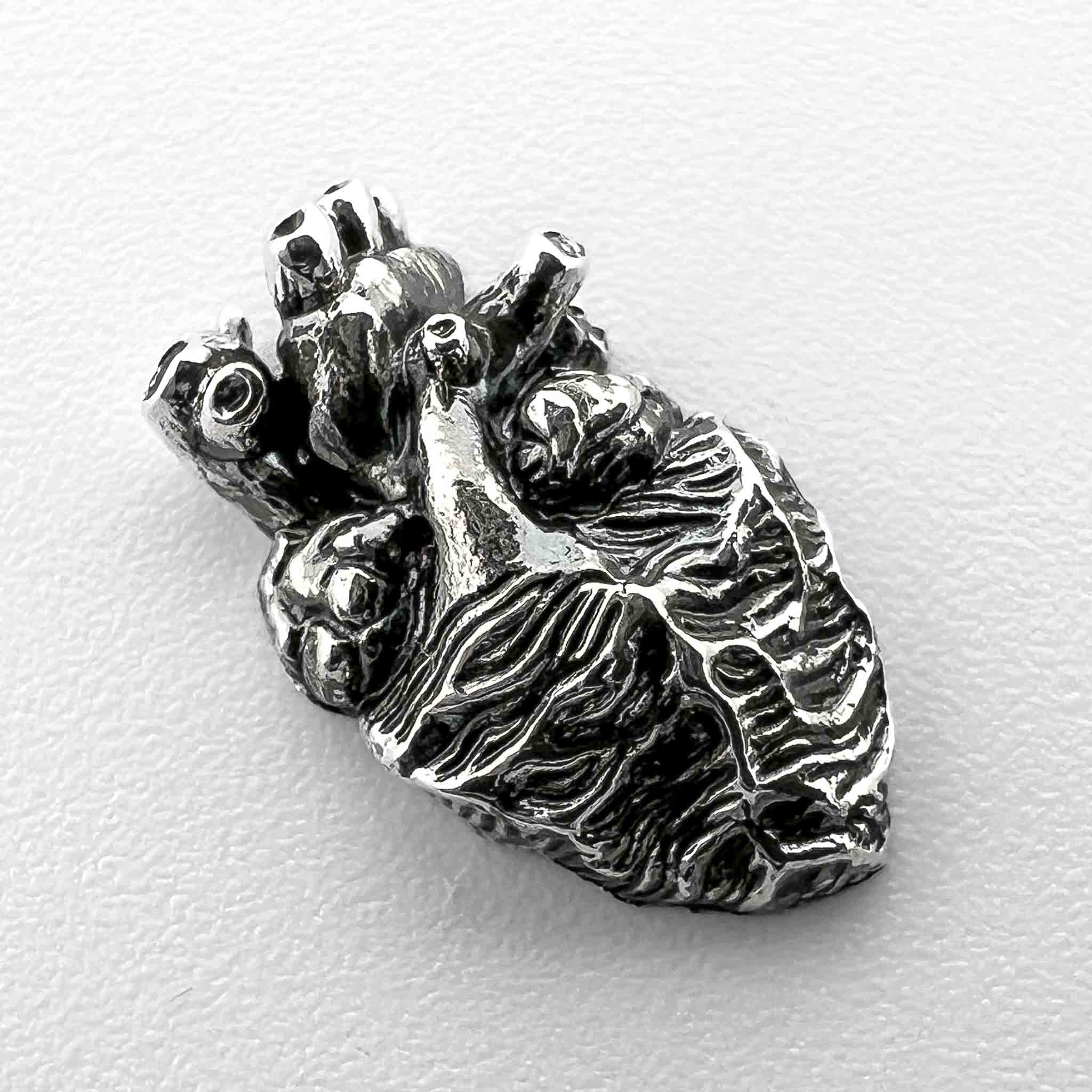 Anatomical Heart Jewelry Finding