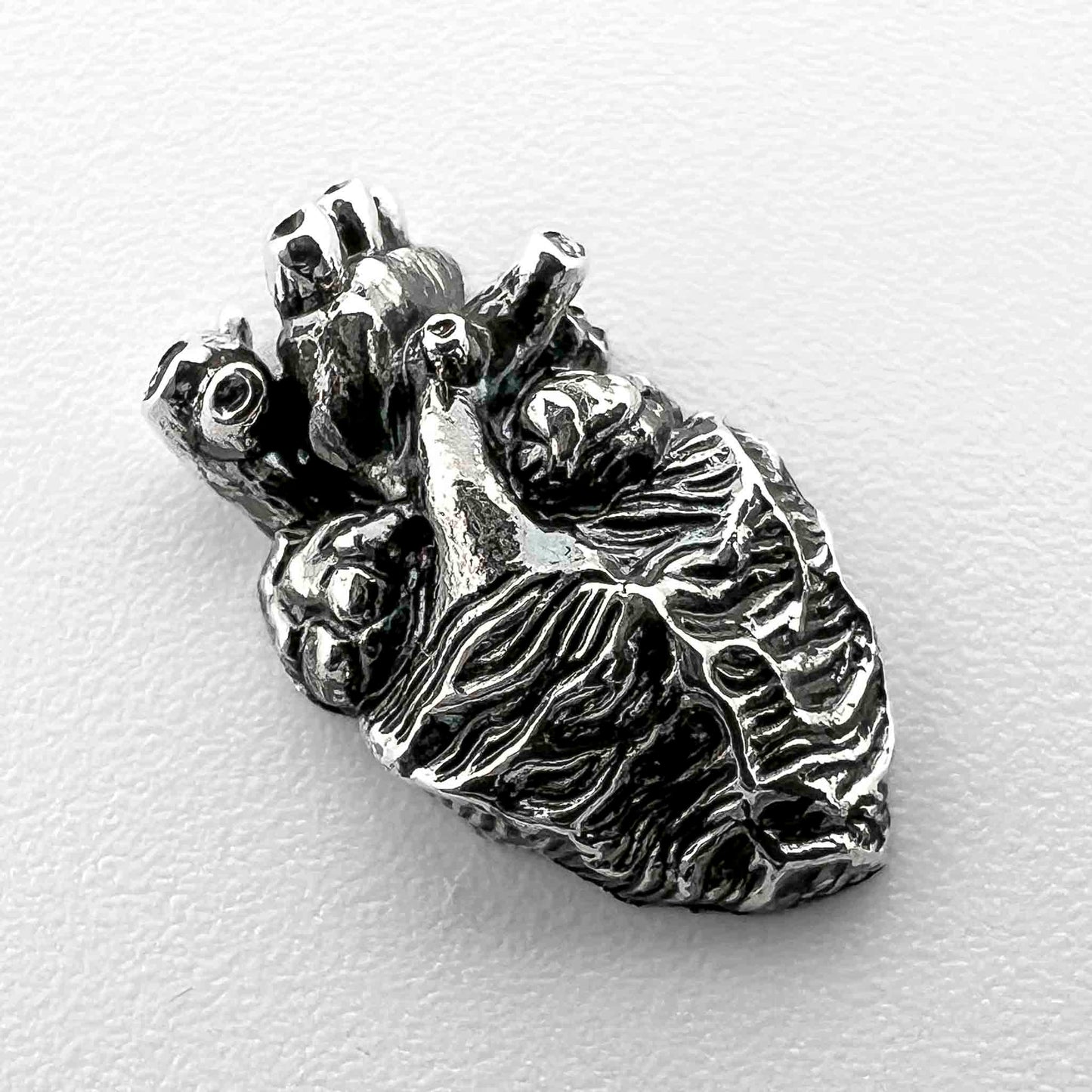 Anatomical Heart Jewelry Finding