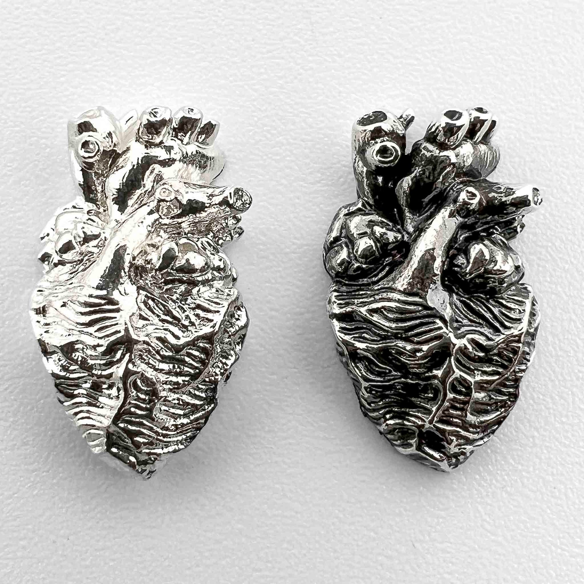 Anatomical Heart