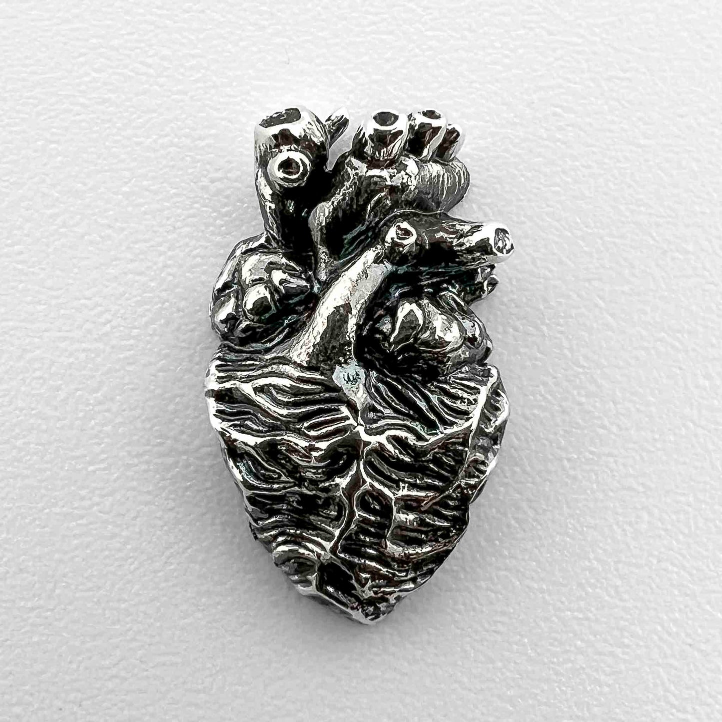 Anatomical Heart Jewelry