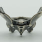 Pelvis