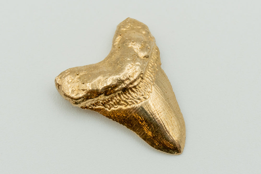 Gold Megalodon Shark Tooth Casting