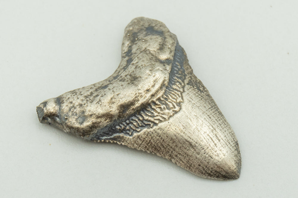 Sterling Silver Megalodon Shark Tooth