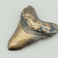 Bronze Megalodon Shark Tooth