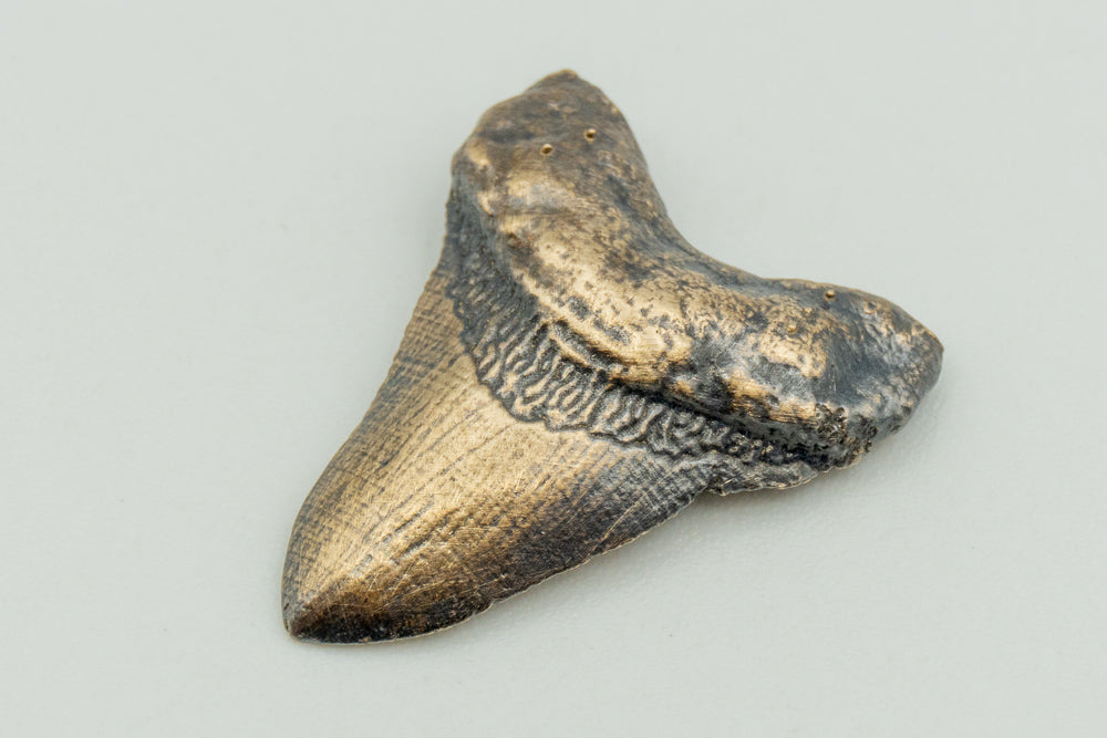 Bronze Megalodon Shark Tooth