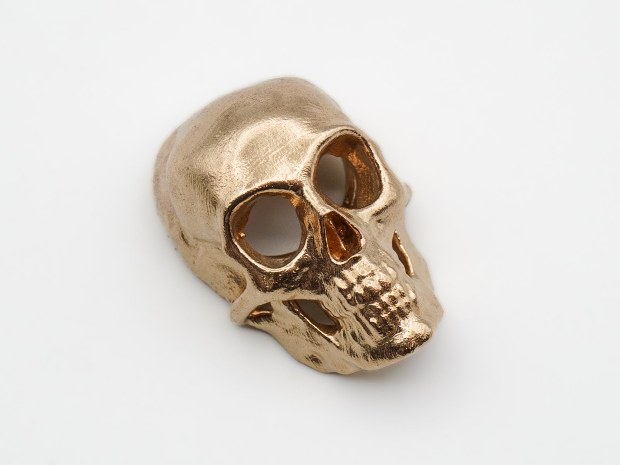 Skull with Flat Back