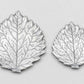 Aspen Leaf