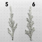 Sterling Silver Juniper Twig