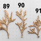 Bronze Juniper Twig